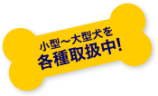 小型～大型犬を各種取扱中！